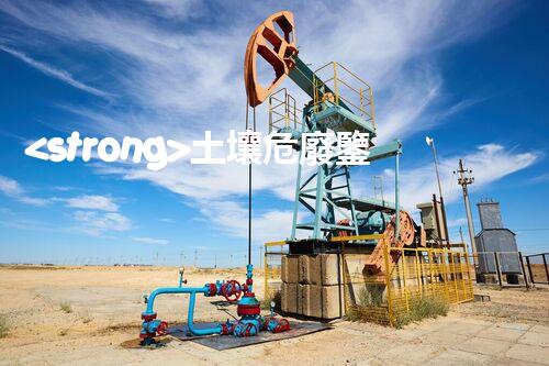 <strong>土壤危廢鑒定流程隱秘的廢棄物：揭開城市底下的神秘面紗！</strong>